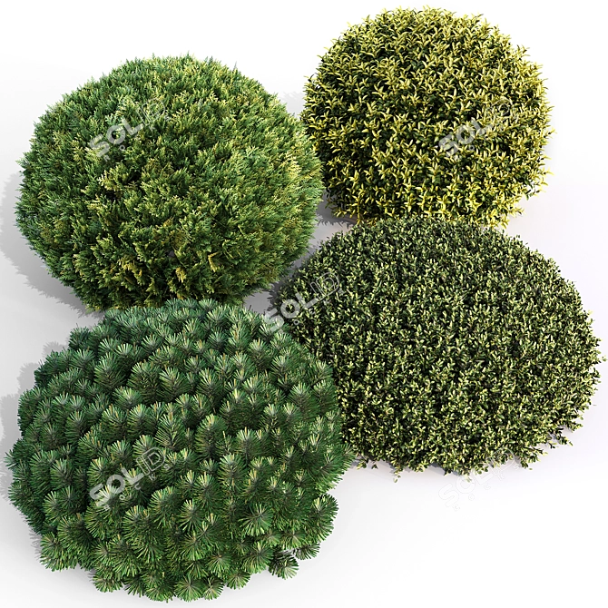 Landscaping Bushes Pack - 3D Models 3D model image 1