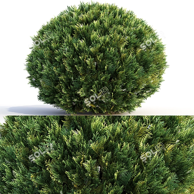 Landscaping Bushes Pack - 3D Models 3D model image 3