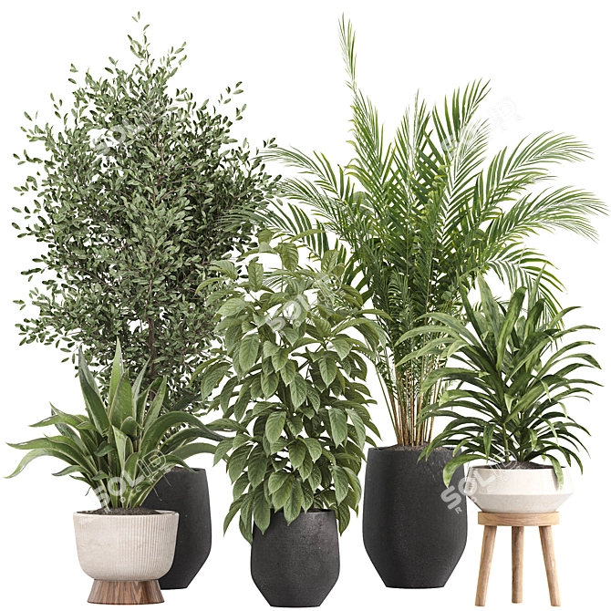 Minimalist Indoor Plants Set 043 3D model image 1