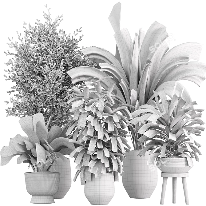 Minimalist Indoor Plants Set 043 3D model image 2