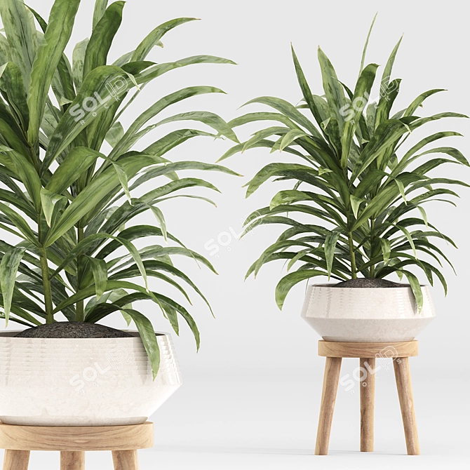 Minimalist Indoor Plants Set 043 3D model image 3