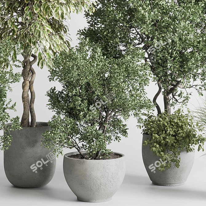 Concrete Vase Indoor Tree Plant 3D model image 2