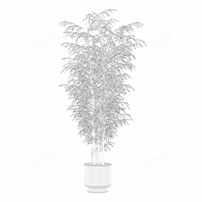  Exotic Plants Bamboo Collection 3D model image 6