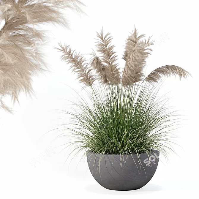 High-Quality Grass Plant Collection 3D model image 1