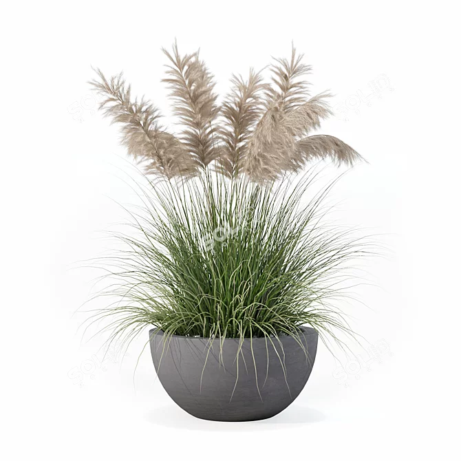 High-Quality Grass Plant Collection 3D model image 2