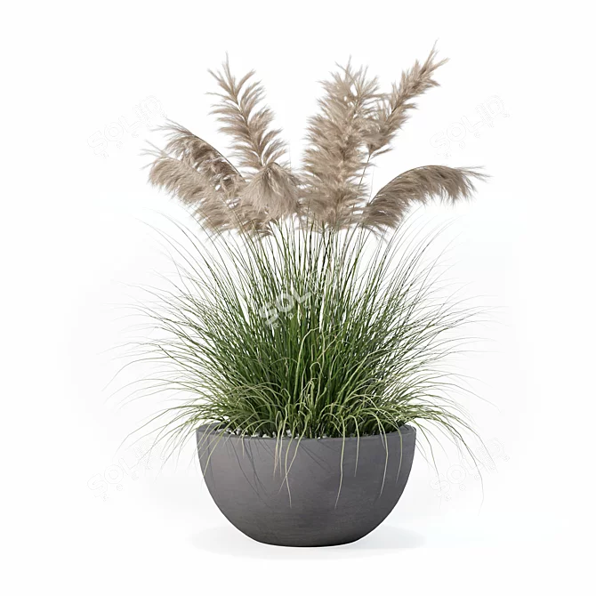 High-Quality Grass Plant Collection 3D model image 3