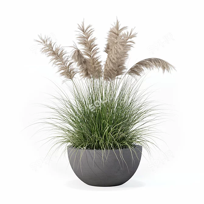 High-Quality Grass Plant Collection 3D model image 4