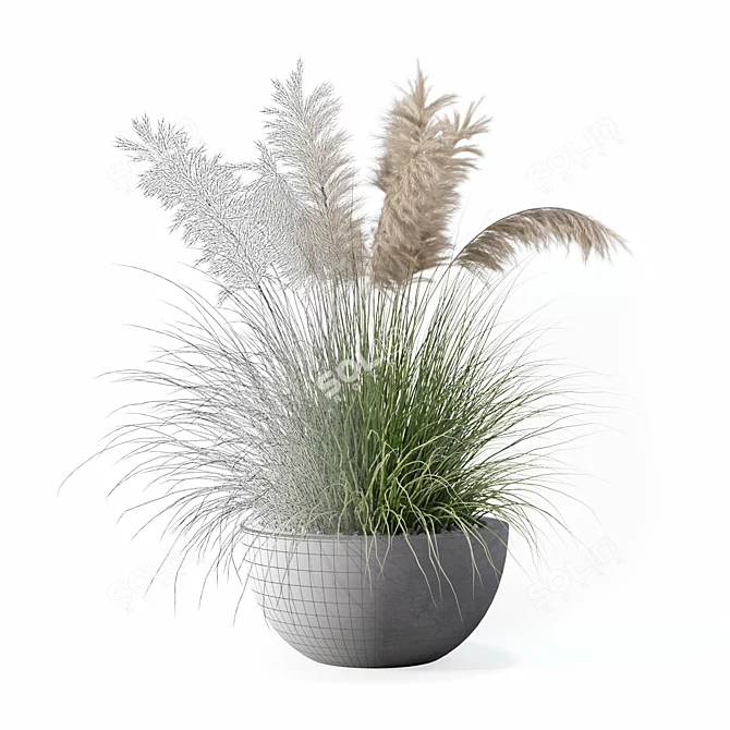 High-Quality Grass Plant Collection 3D model image 5