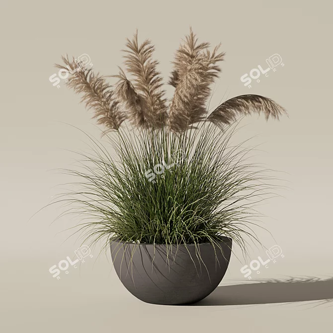 High-Quality Grass Plant Collection 3D model image 7