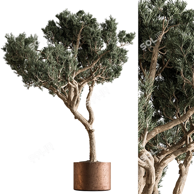 Based on the provided product description, here is a translated title suggestion: 

 Botanical Marvel Tree Plant 3D model image 1