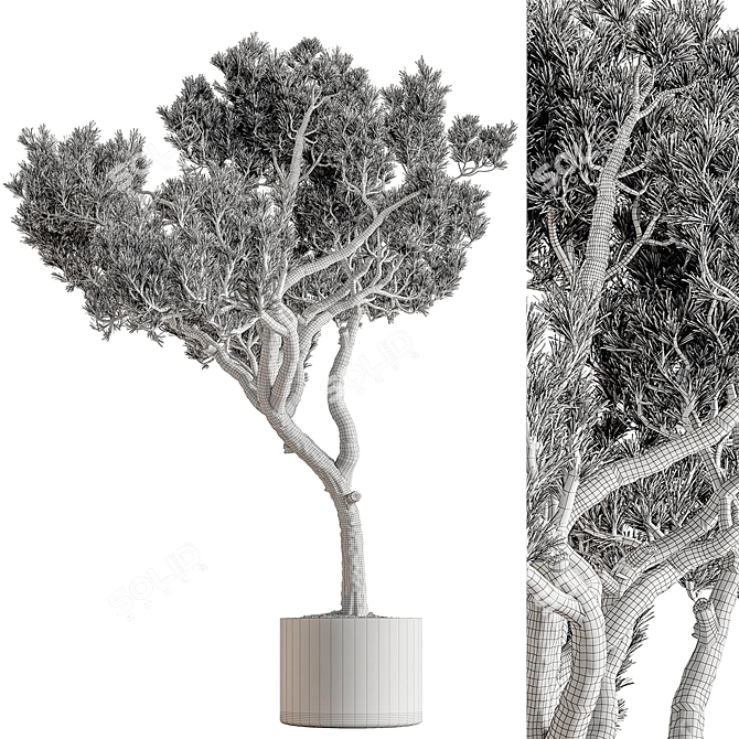 Based on the provided product description, here is a translated title suggestion: 

 Botanical Marvel Tree Plant 3D model image 3