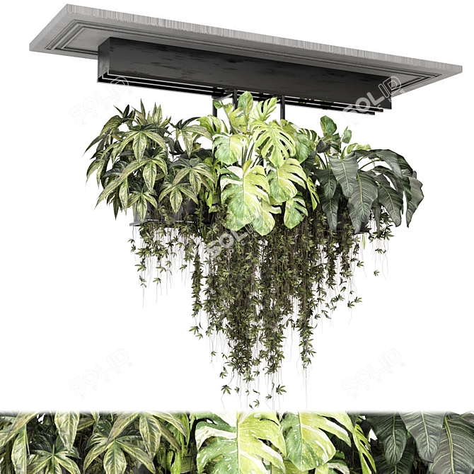 Metal Box Hanging Plant Set 3D model image 1