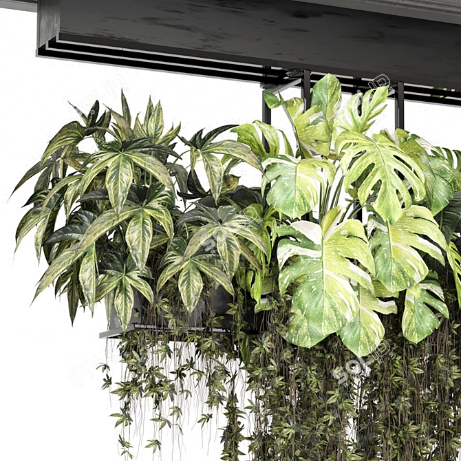 Metal Box Hanging Plant Set 3D model image 3