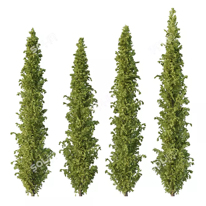 Cedrus Deodara 3D Model Collection 3D model image 1