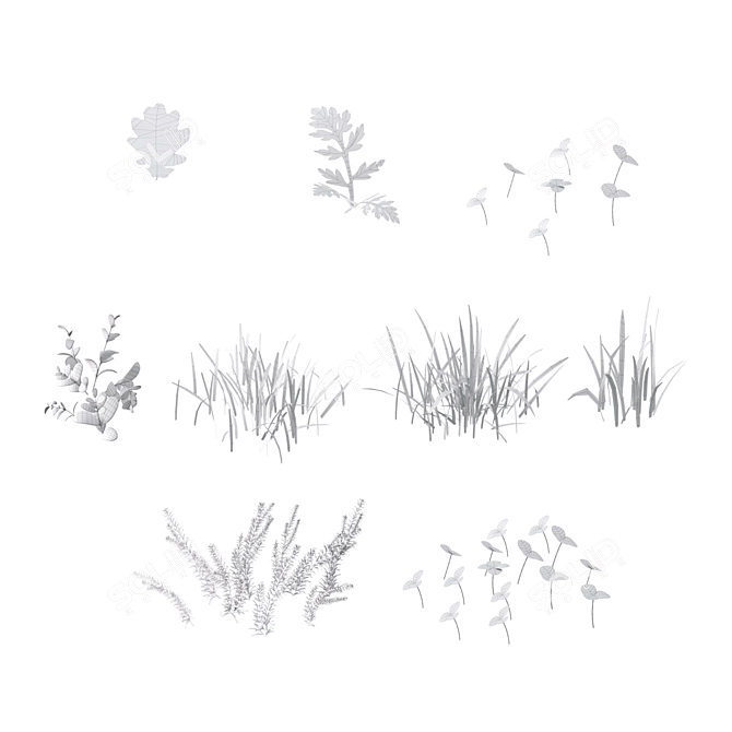 Wild Meadow Grass Set 3D model image 2