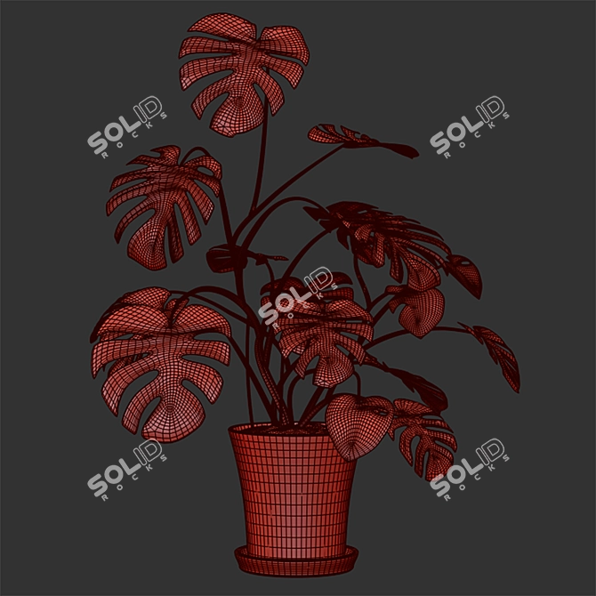 Monster Decorative Plant in Concrete Pot 3D model image 1