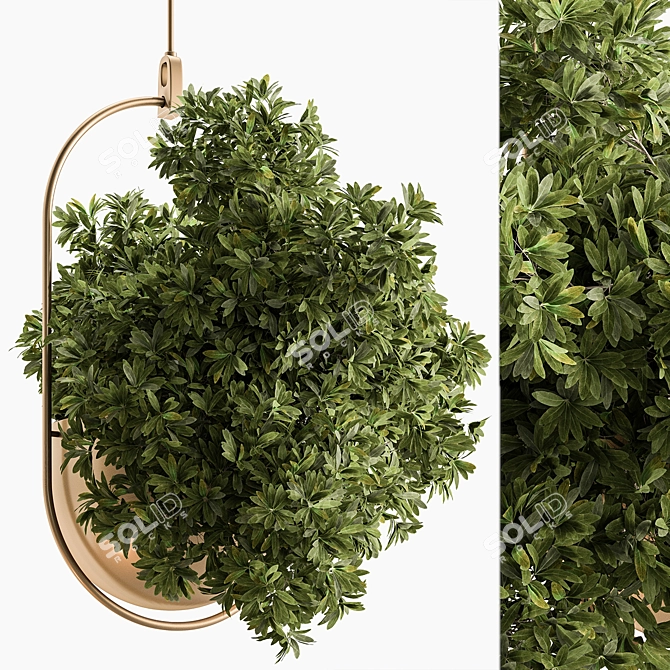 Hanging Indoor Plant 690 3D model image 1