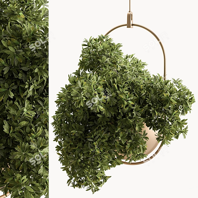 Hanging Indoor Plant 690 3D model image 2