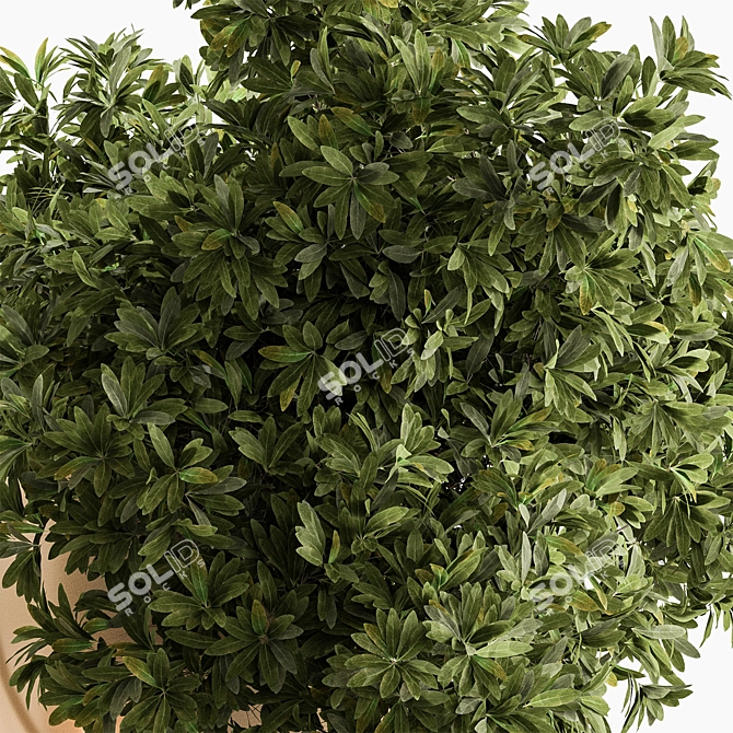 Hanging Indoor Plant 690 3D model image 3