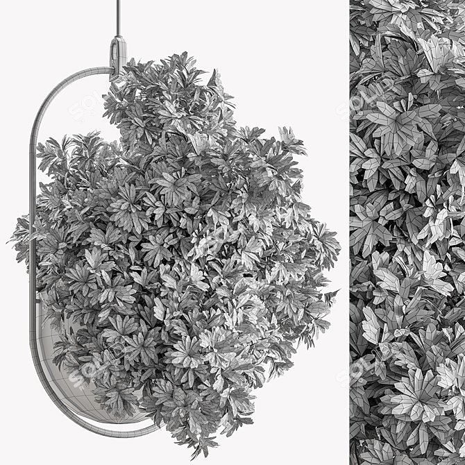 Hanging Indoor Plant 690 3D model image 4