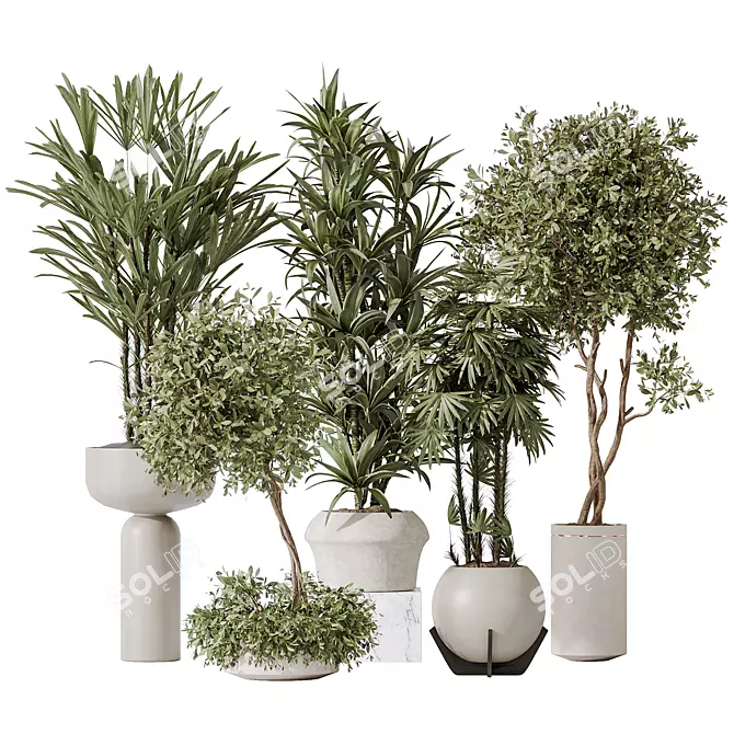 Modern Indoor Plant Set 3D 3D model image 1