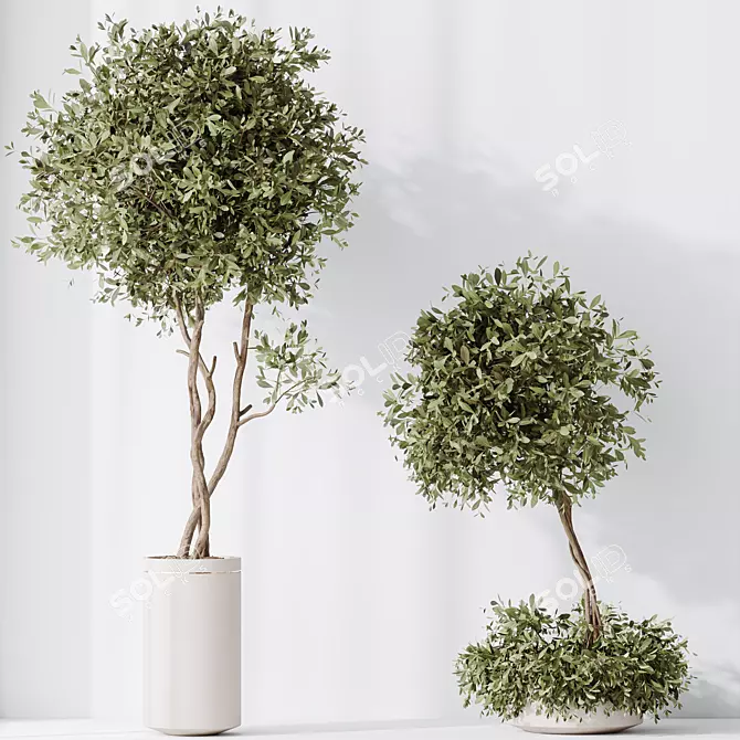 Modern Indoor Plant Set 3D 3D model image 3