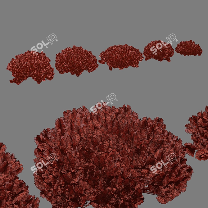  Pine Bushes Vol. 255 Bundle 3D model image 7