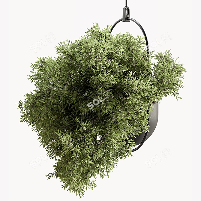 Blooming Beauties: Hanging Plants 3D model image 2
