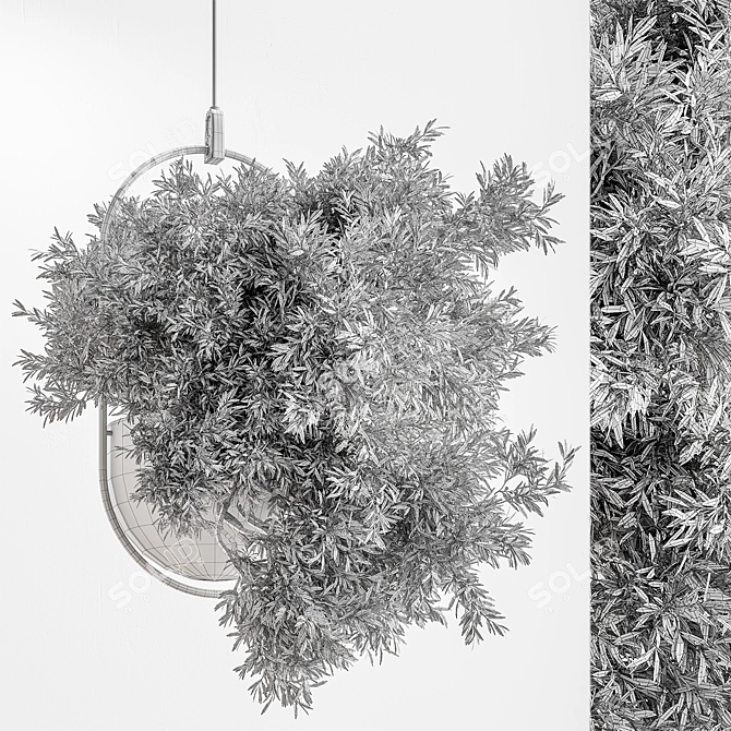 Blooming Beauties: Hanging Plants 3D model image 4