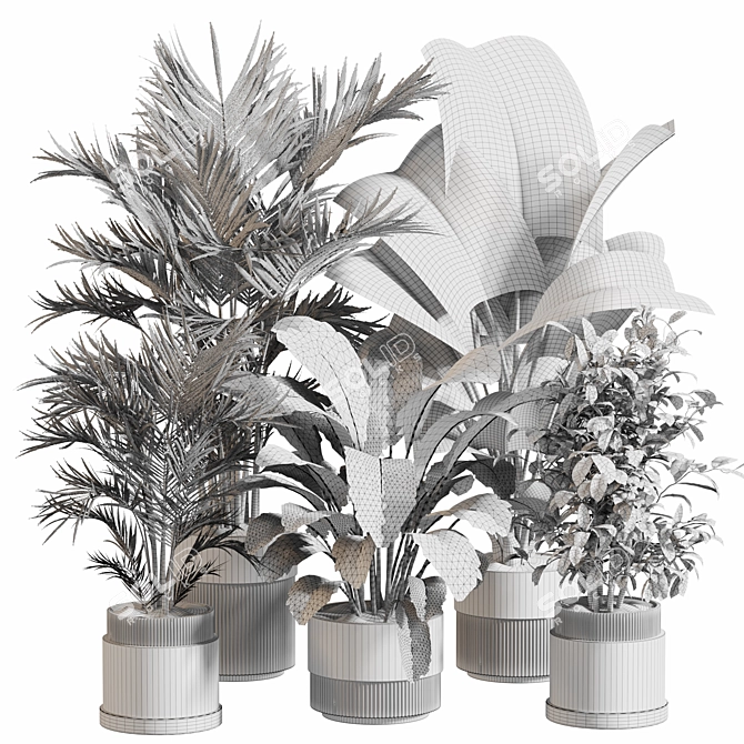  Indoor Plant Set 065: V-Ray & Corona Render, High Quality 3D model image 5