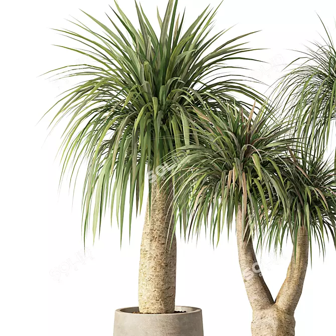 Modern Minimalist Indoor Plant Set 3D model image 3