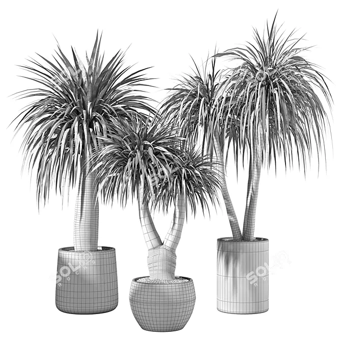 Modern Minimalist Indoor Plant Set 3D model image 5