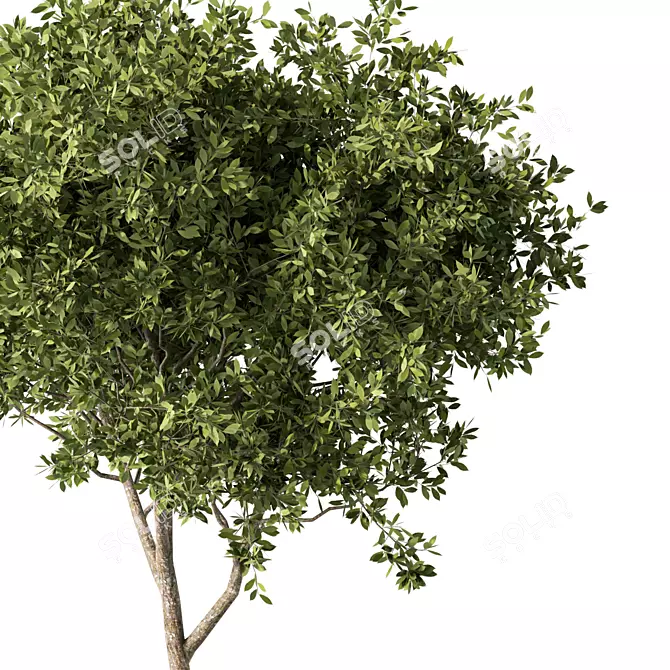 Sculptural Metal Tree Statue 3D model image 2