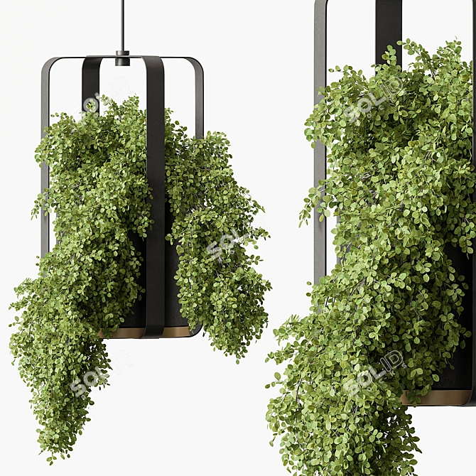 Green Oasis - Hanging Plants 3D model image 1