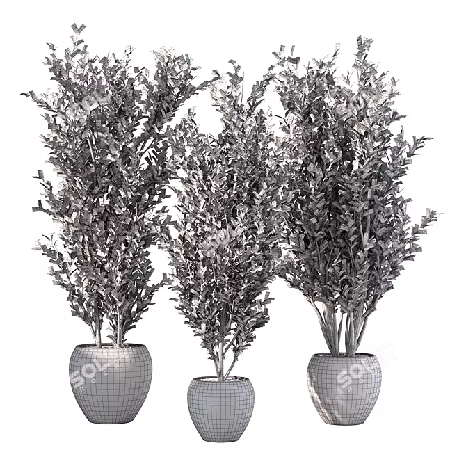 Lush Indoor Plant Set 3D model image 5