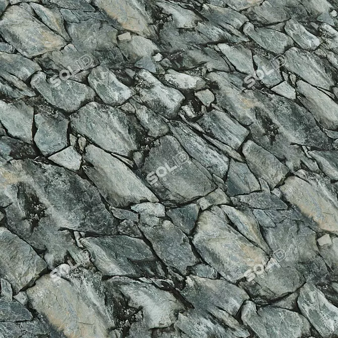  4K Stone Covering Texture Set 3D model image 8