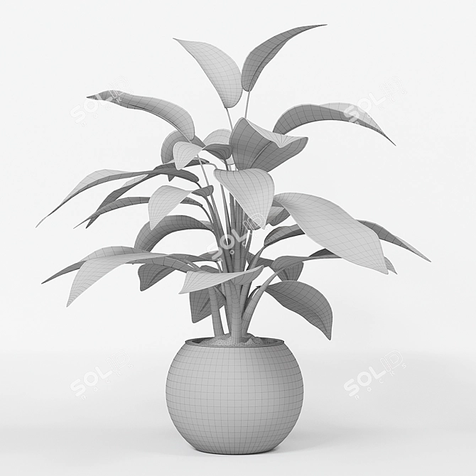 Infinity Aglaonema Plant 3D Model 3D model image 11