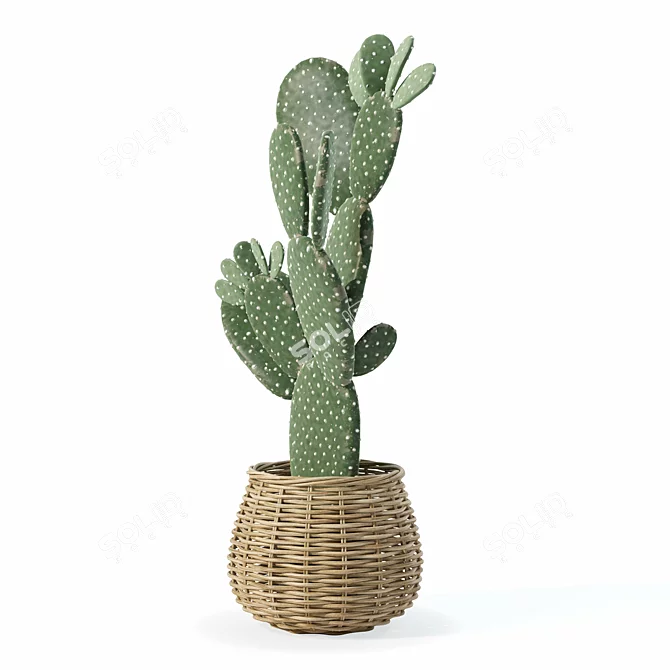 Desert Plant 3D Model Kit 3D model image 2