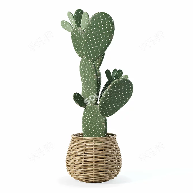 Desert Plant 3D Model Kit 3D model image 3