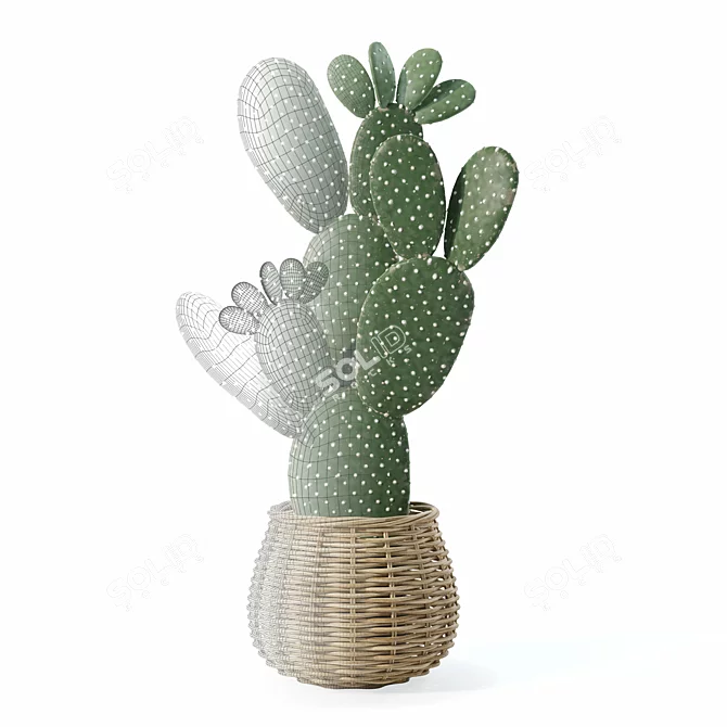 Desert Plant 3D Model Kit 3D model image 5