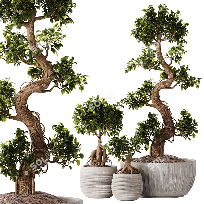 TurboSmooth Bonsai Set with V-Ray & Corona Render 3D model image 1