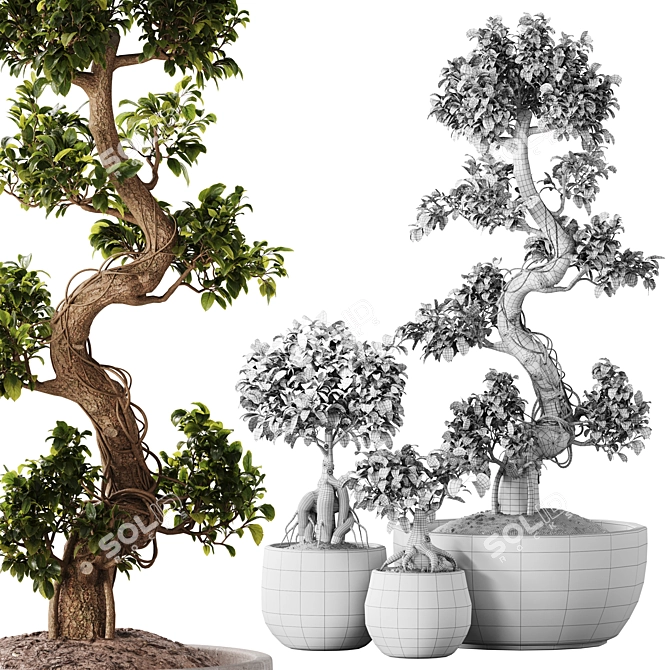 TurboSmooth Bonsai Set with V-Ray & Corona Render 3D model image 2