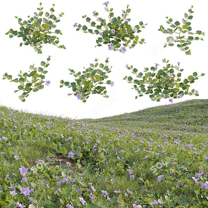  3D Plant Variations Collection 3D model image 1