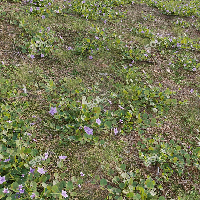  3D Plant Variations Collection 3D model image 3