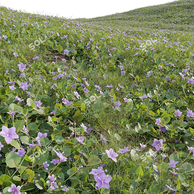  3D Plant Variations Collection 3D model image 4