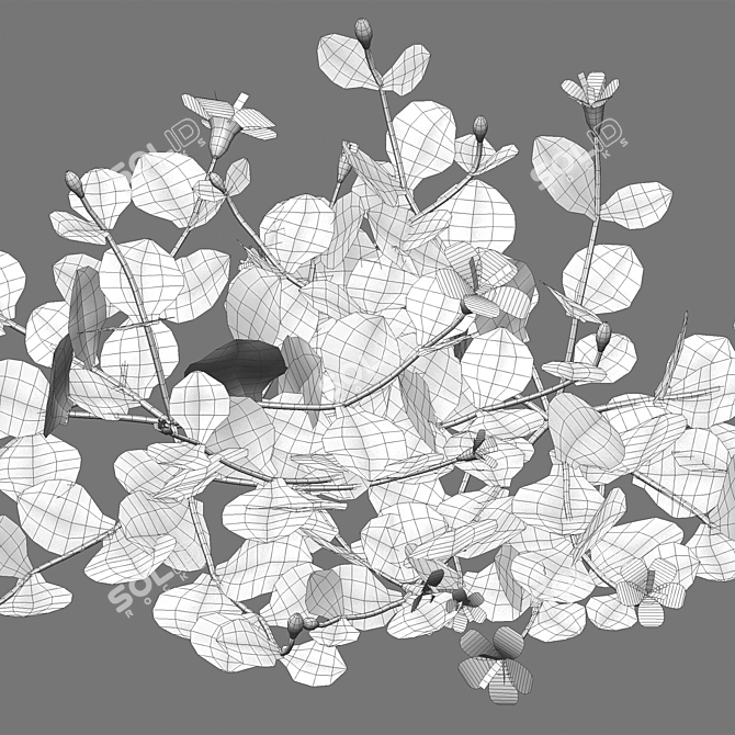  3D Plant Variations Collection 3D model image 5