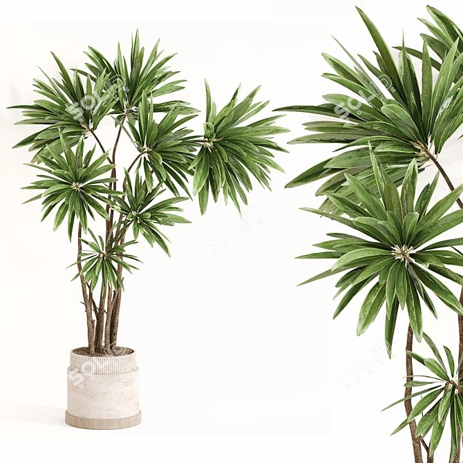 Modern Plant Set for Interiors 3D model image 5