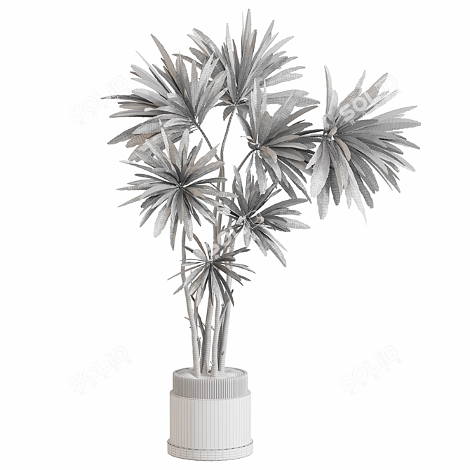 Modern Plant Set for Interiors 3D model image 9