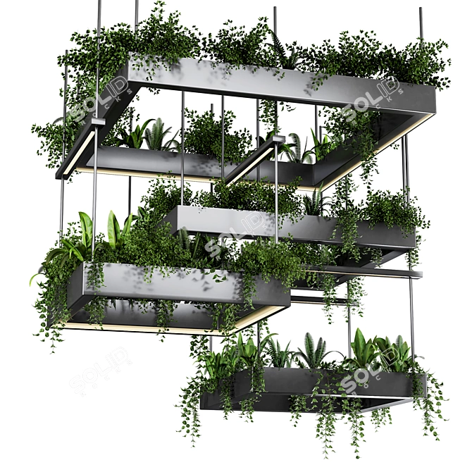 High-Quality Hanging Plant Set 3D model image 1