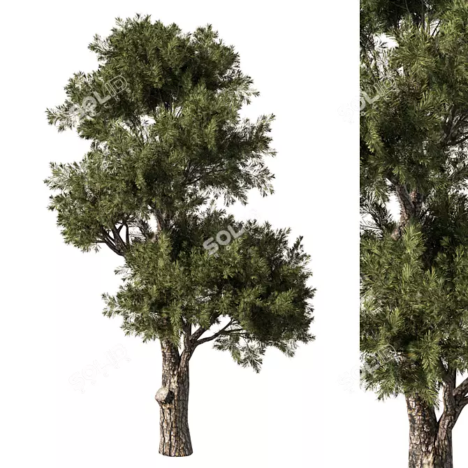 Elegant Tree Sculpture Decor 3D model image 1